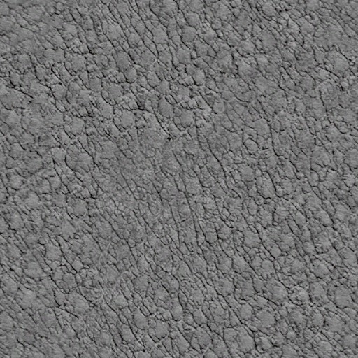 c2060_skin_a.jpg