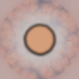 c2180_Eye_a.jpg