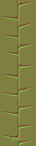 c3000_Thorn_n.jpg