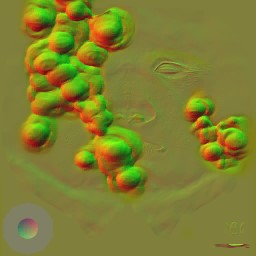 c3010_face_n.jpg