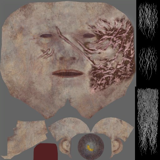 c3050_Face_Damage_a.jpg