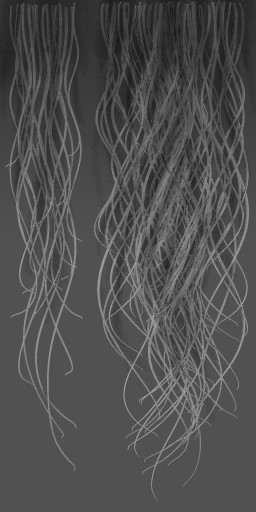 c3050_Fur_HM_a.jpg