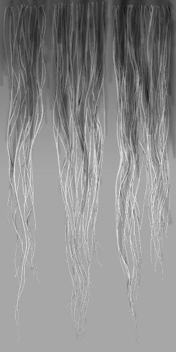 c3050_Fur_a.jpg