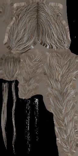 c3070_Hair_a.jpg