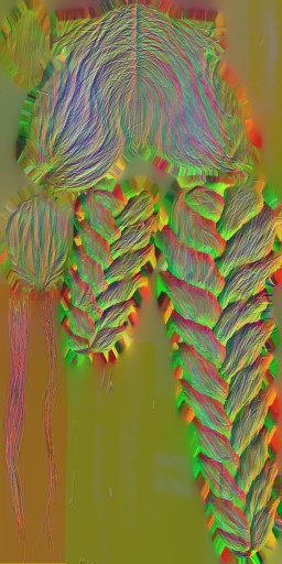 c3070_Hair_n.jpg