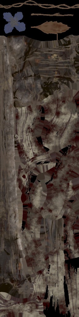 c3070_WP_A_0416_a.jpg