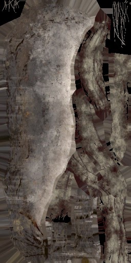 c3070_WP_A_0708_a.jpg