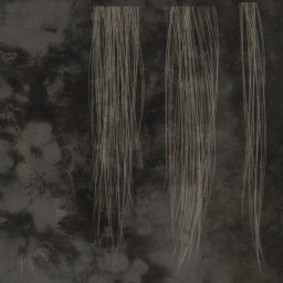 c3200_FC_Hair_a.jpg