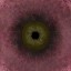 c3300_eye_a.jpg