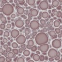 c3361_Foam_a.jpg