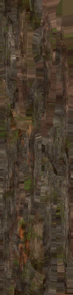 c3470_WP_A_0855_a.jpg