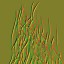 c4080_HAIR_n.jpg