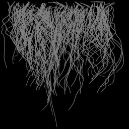 c4160_fur3_a.jpg
