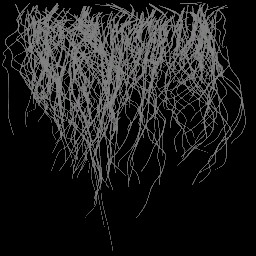 c4164_fur3_a.jpg