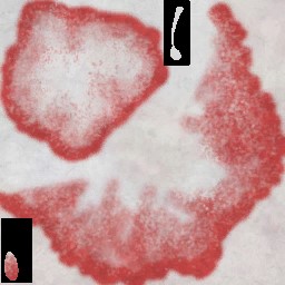 c4166_Mushroom_a.jpg