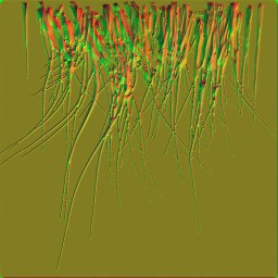 c4166_fur2_n.jpg