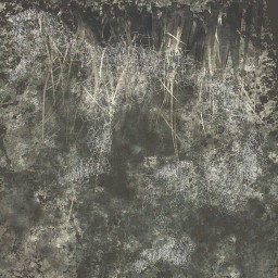 c4167_fur_color_a.jpg
