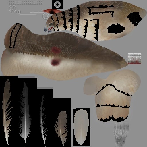 c4170_feathers_a.jpg