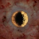 c4200_Eye_a.jpg