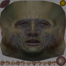 c4310_face_a.jpg