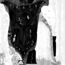 c4355_WP_A_2223_m.jpg