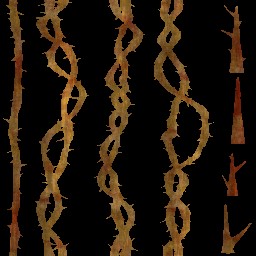 c4381_Thorn_a.jpg