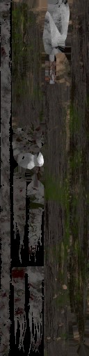 c4383_WP_A_1317_a.jpg