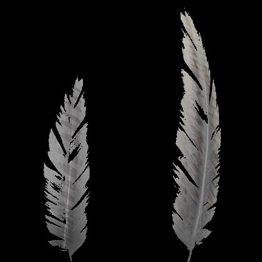 c4502_Feather_2_a.jpg