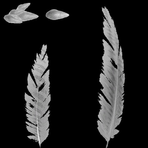 c4503_Feather_1_a.jpg