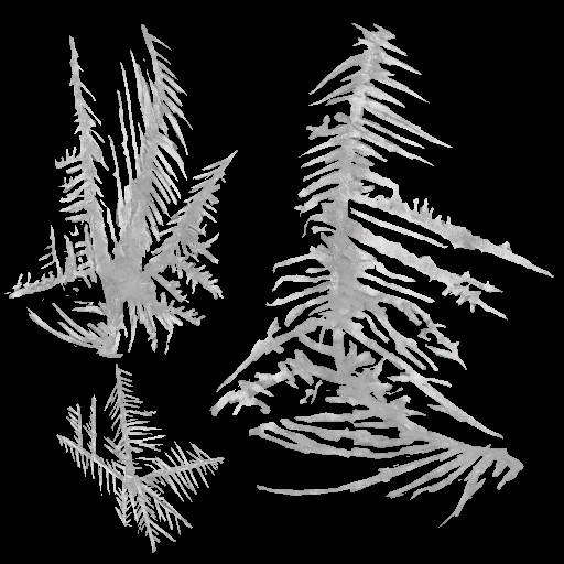 c4503_Frost_a.jpg
