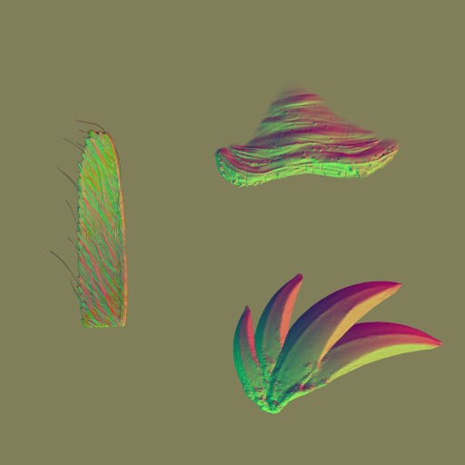 c4505_Fur_n.jpg