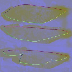 c4511_Bug_n.jpg