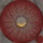 c4600_eyes_a.jpg