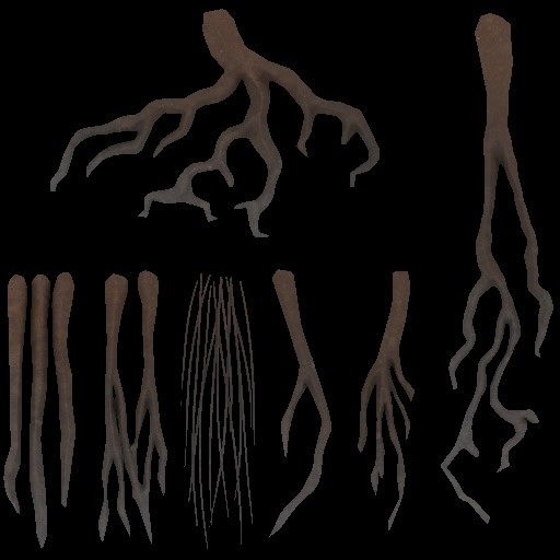c4601_Hair_Platepoly_a.jpg
