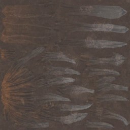 c4601_Hair_a.jpg