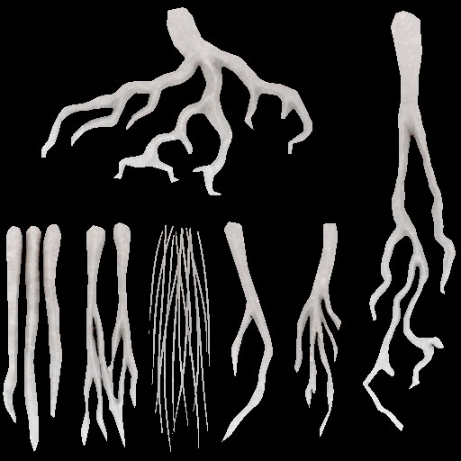 c4602_hair_02_a.jpg