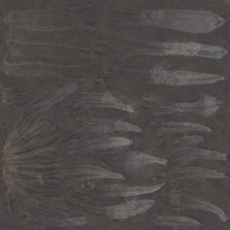 c4603_hair_01_a.jpg