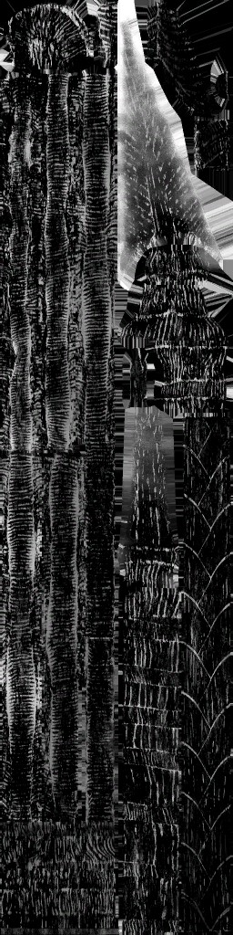 c4660_WP_A_1407_em.jpg