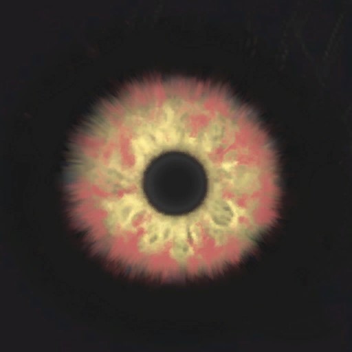 c4710_eye_a.jpg