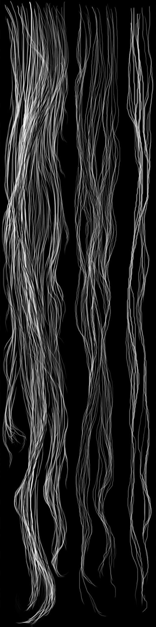c4730_HD_hair_a.jpg