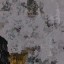 c5010_Fur_color_a.jpg