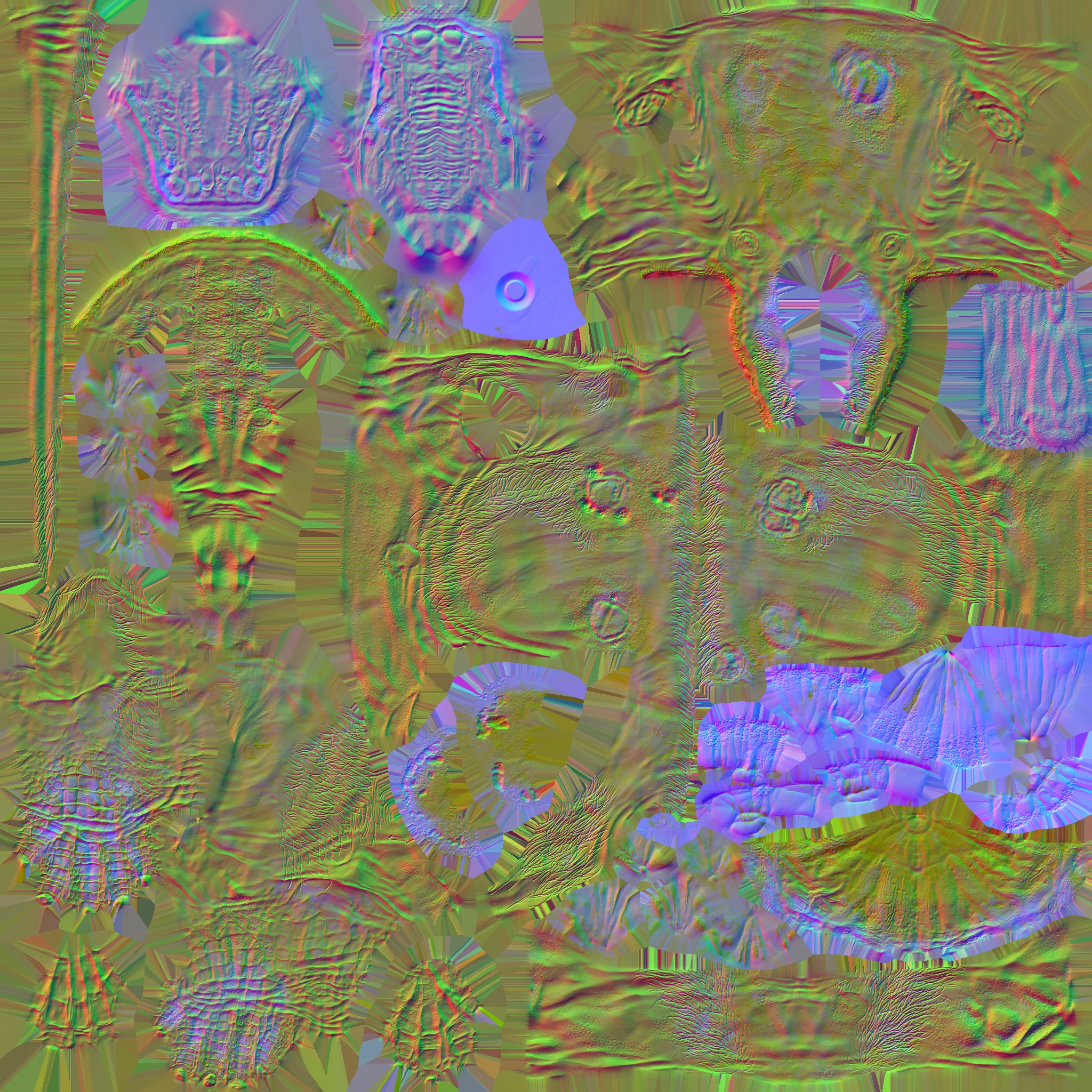 c5011_Body_n.jpg