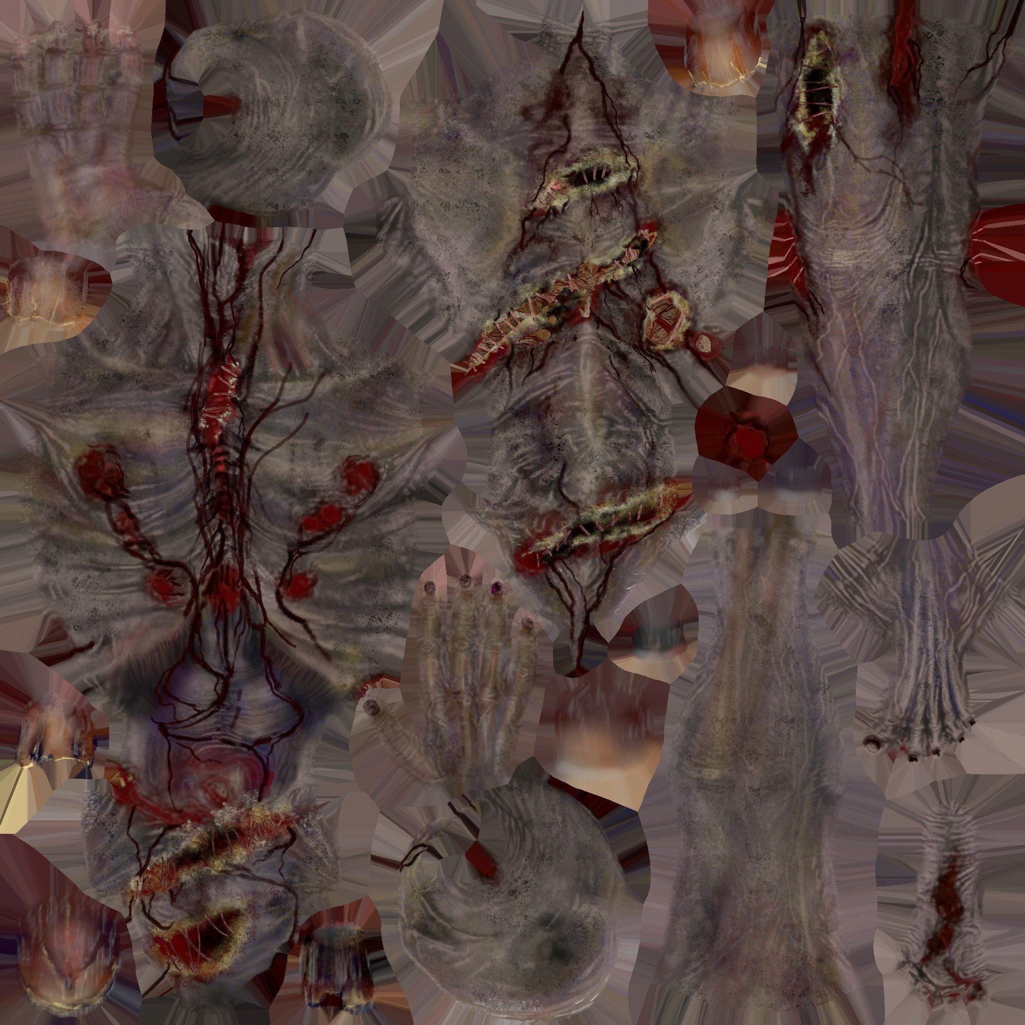 c5050_Body_a.jpg