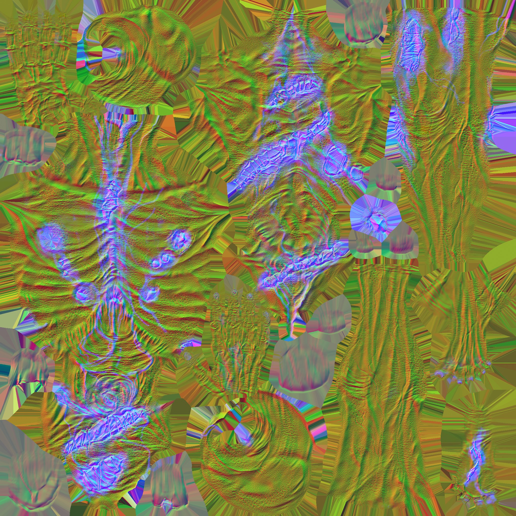 c5050_Body_n.jpg