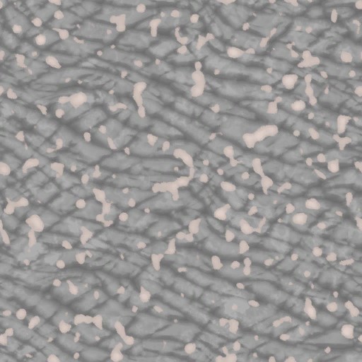 c5081_skin_a.jpg