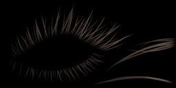 c5131_Eyelash_a.jpg