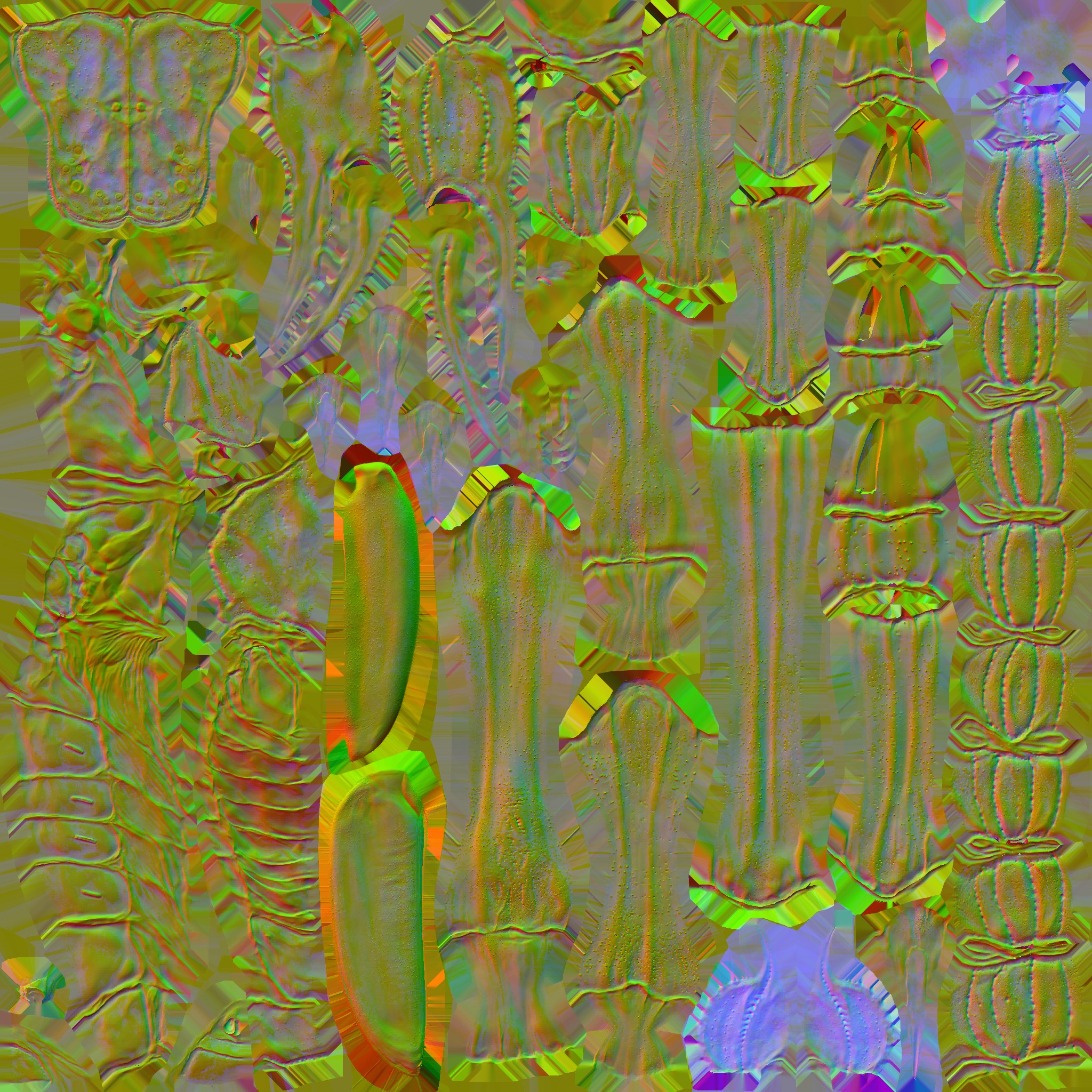 c5190_body_n.jpg