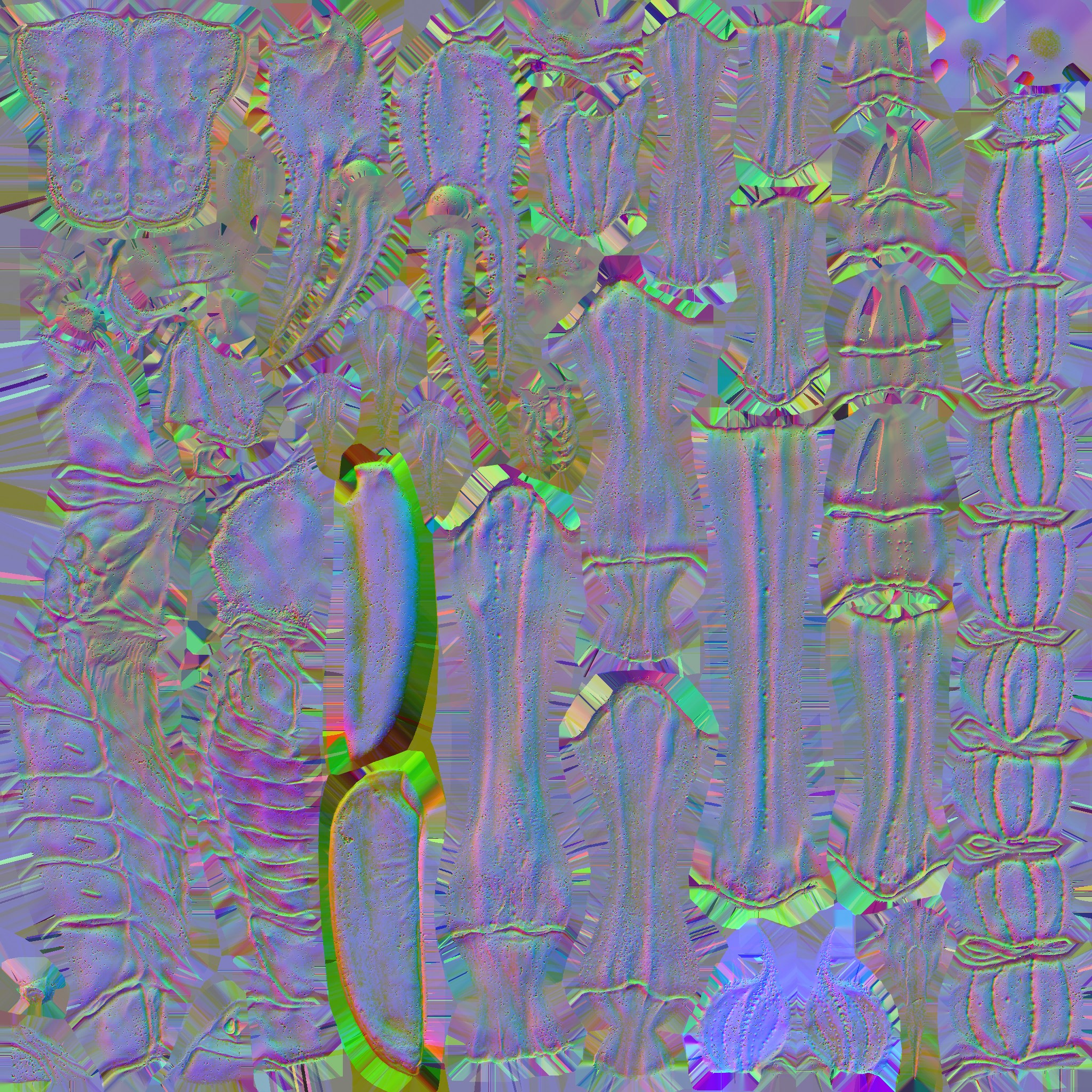 c5192_body_n.jpg