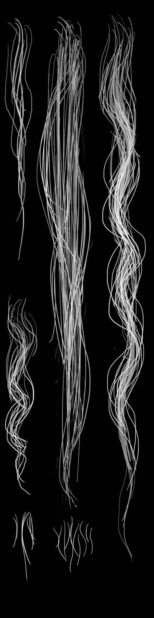 c5210_Hair_a.jpg