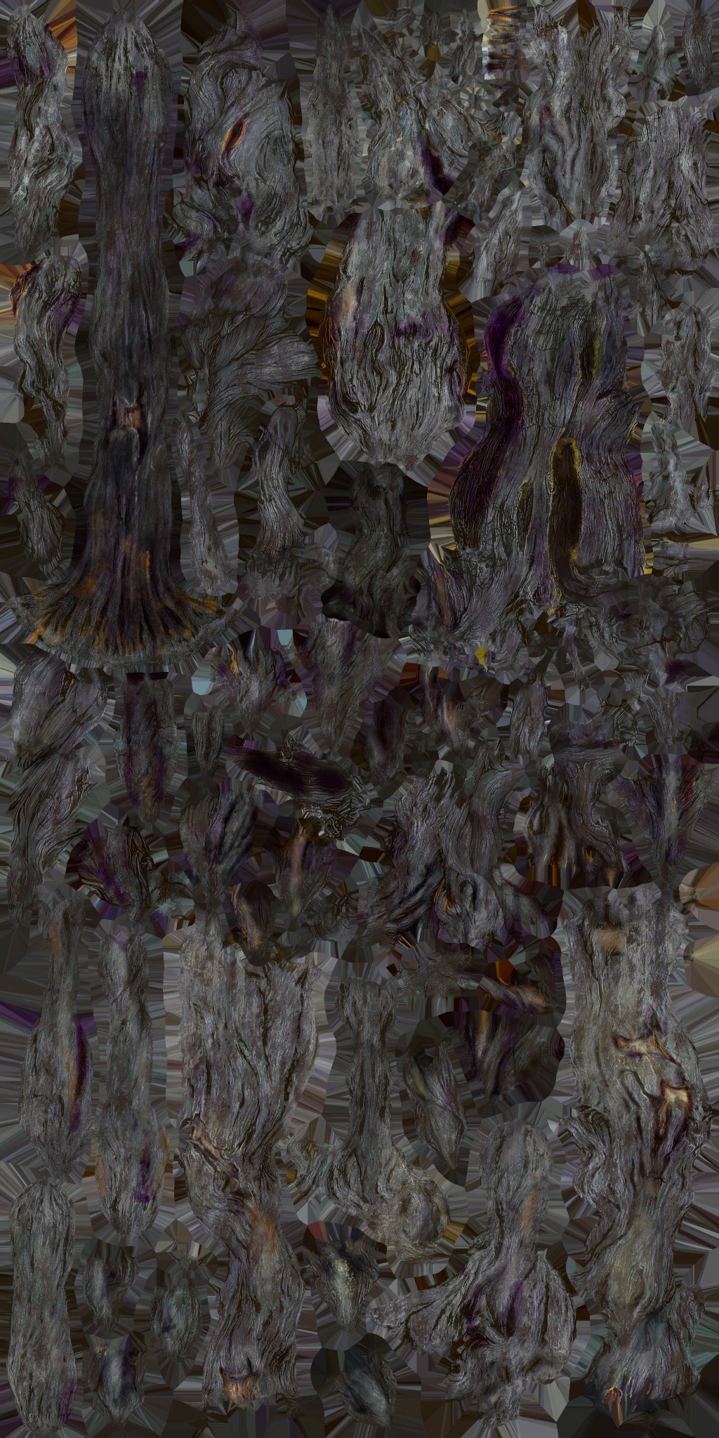 c5230_Body_a.jpg